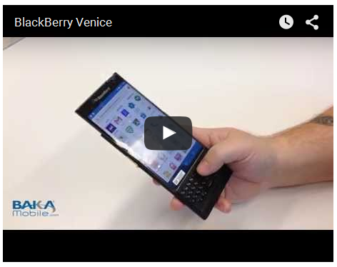 Blackberry Venice